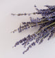 detailed-image-of-dried-lavender.jpg